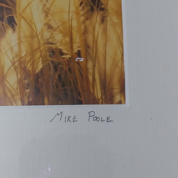 Homemade photography framework - Picture 3 of 4